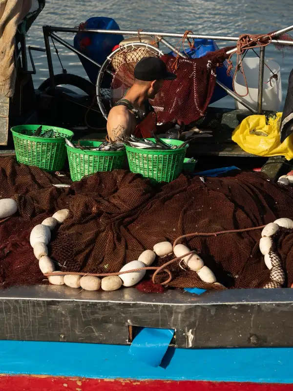 Filets de pêche et flotteurs blancs sur le pont d'une barque bleue, un pêcheur au travail derrière